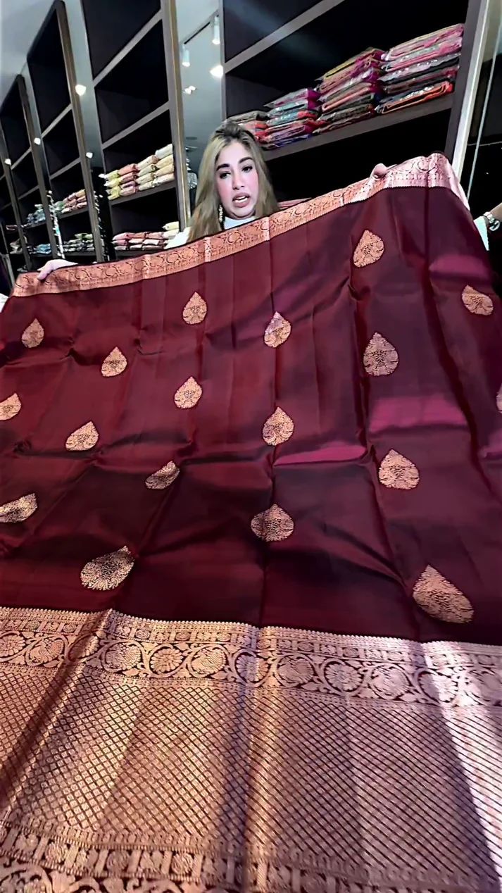 Adorable Wine Soft Silk Saree With Evocative Blouse Piece
