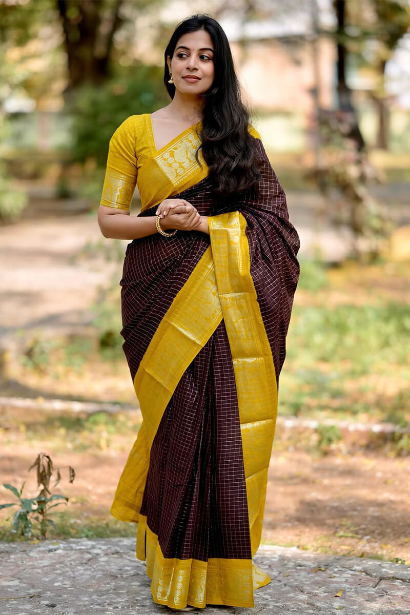 Amazing Brown Soft Silk Saree With Captivating Blouse Piece