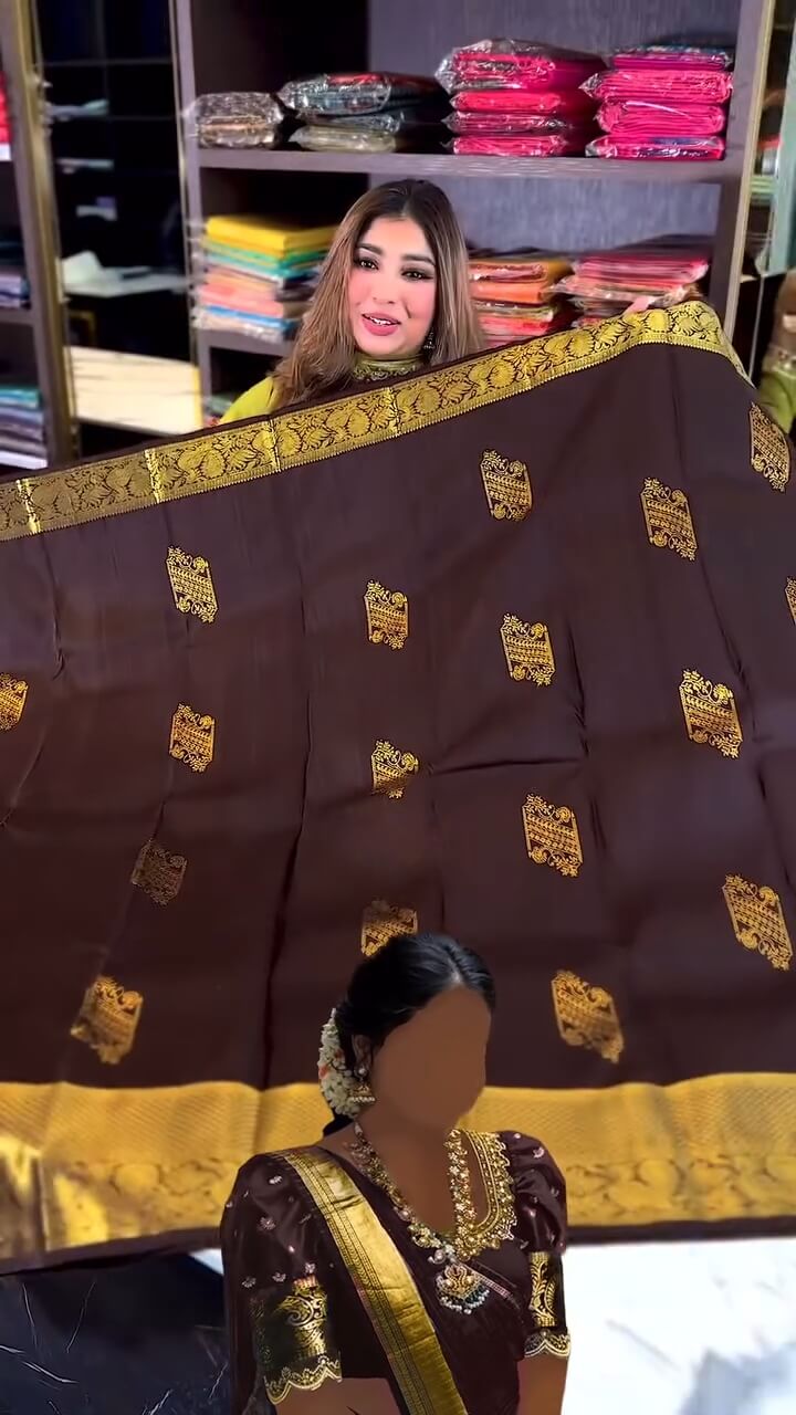 Woebegone Brown Soft Banarasi Silk Saree With Angelic Blouse Piece