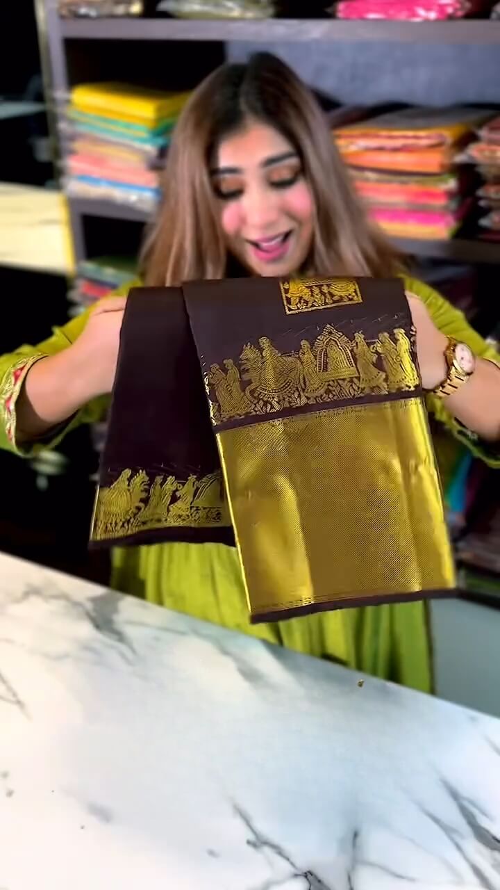 Artistic Brown Soft Banarasi Silk Saree With Snappy Blouse Piece