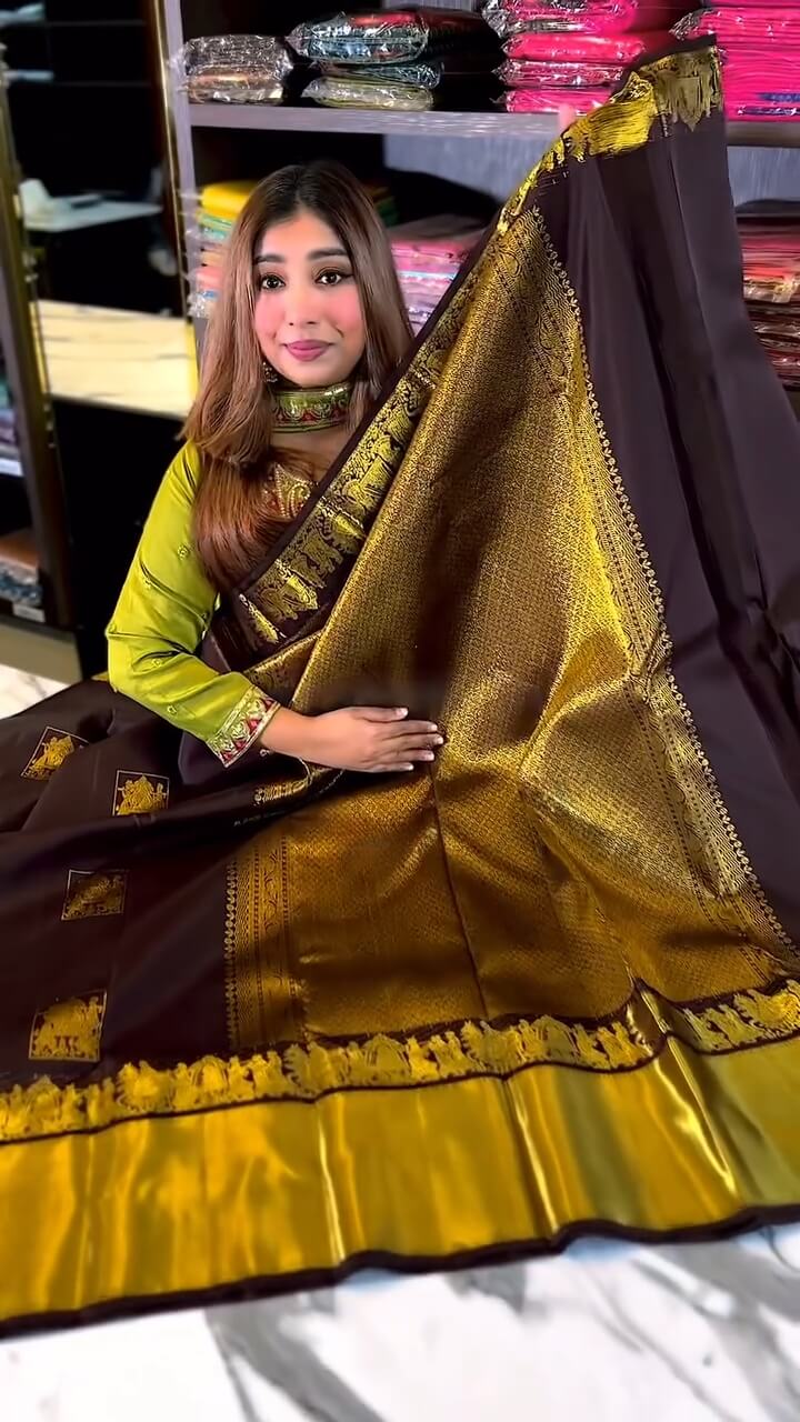 Artistic Brown Soft Banarasi Silk Saree With Snappy Blouse Piece