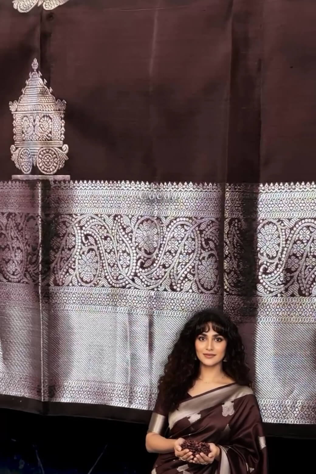 Bucolic Brown Soft Banarasi Silk Saree With Posh Blouse Piece