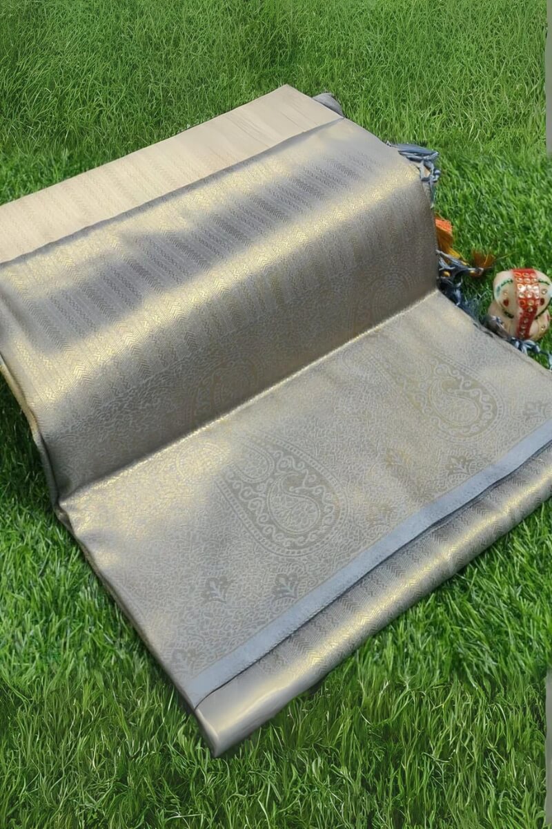 Amazing Grey Kanjivaram Silk Saree With Precious Blouse Piece