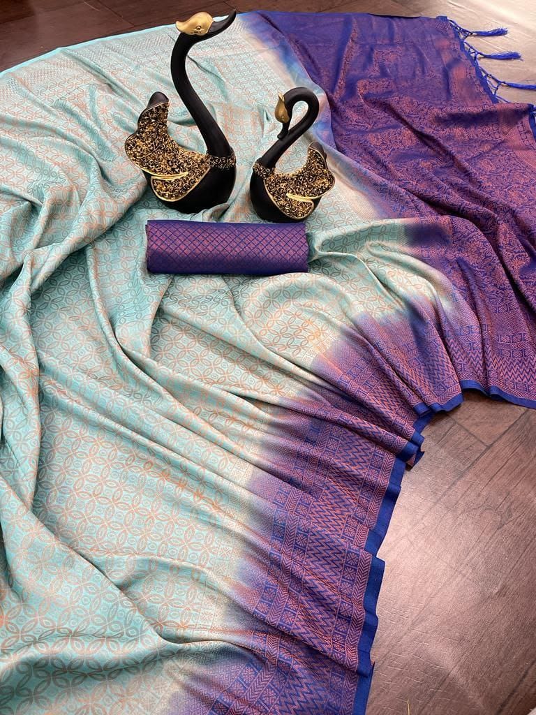 firozi colour blouse