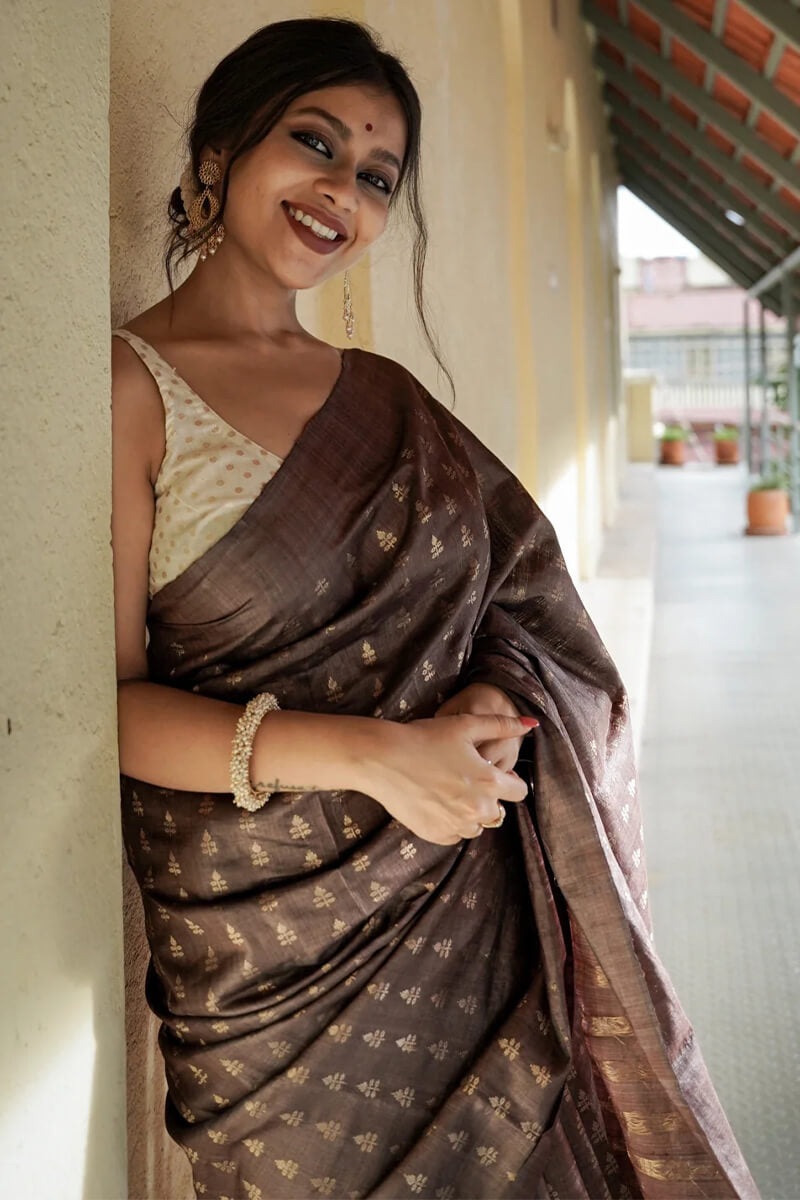 Groovy Brown Soft Silk Saree With Artistic Blouse Piece