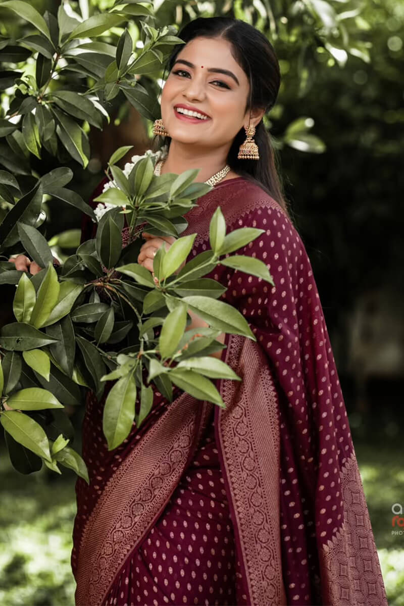 Adorable Wine Soft Silk Saree With Gratifying Blouse Piece