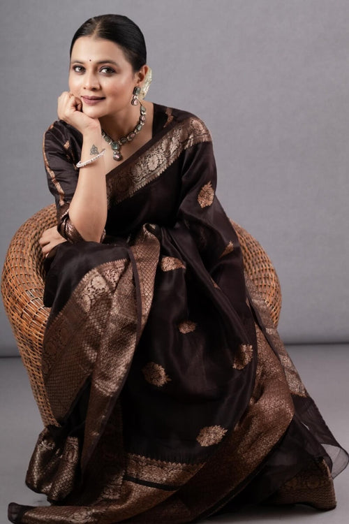 Load image into Gallery viewer, Ravishing Brown Soft Silk Saree With Designer Blouse Piece
