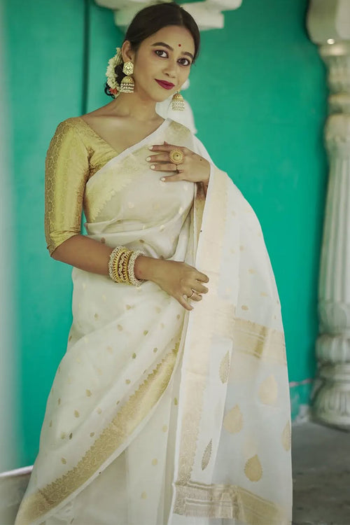 Load image into Gallery viewer, Smart Off White  Linen Silk Saree With Hypnotic Blouse Piece
