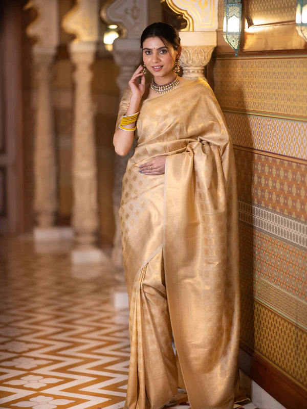 Ebullience Beige Soft Silk Saree With Ratatouille Blouse Piece