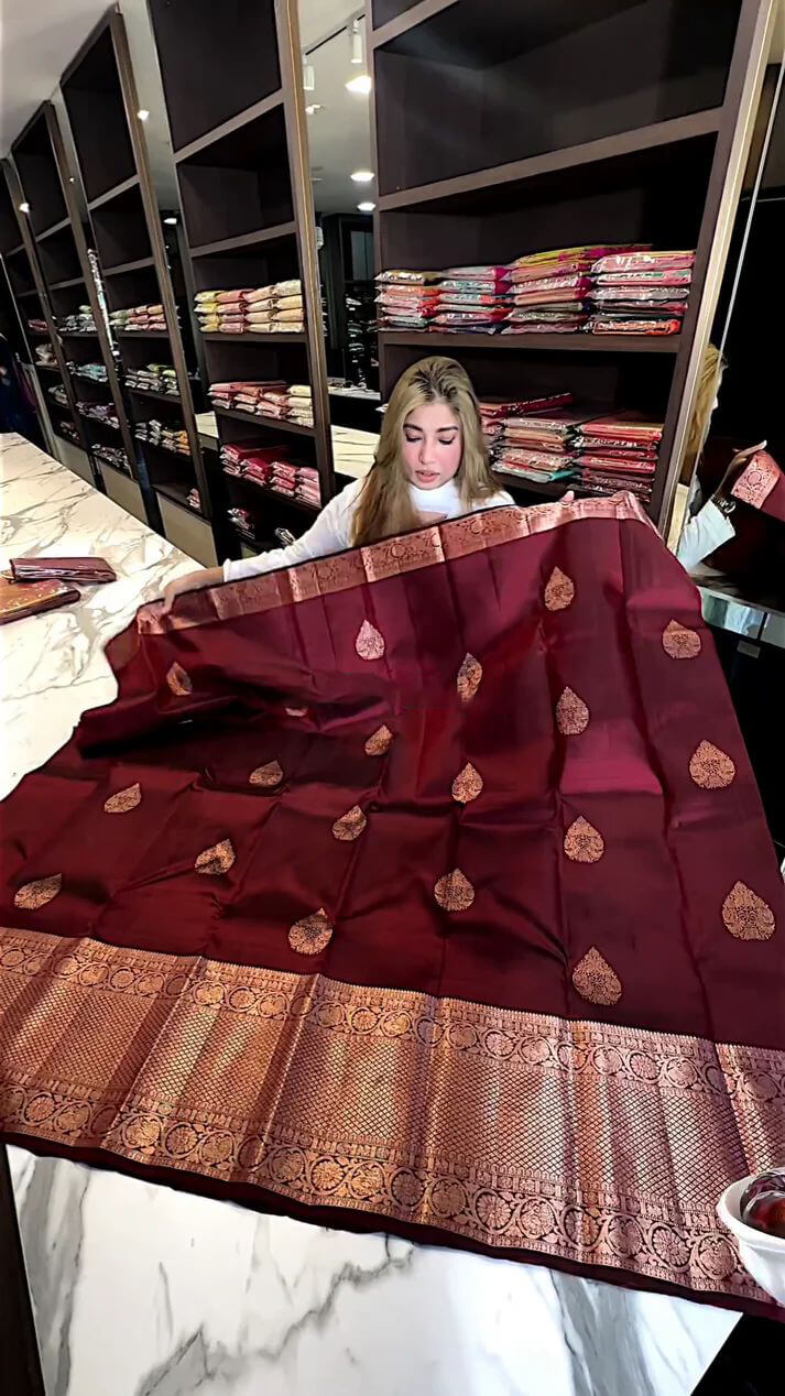 Adorable Wine Soft Silk Saree With Evocative Blouse Piece