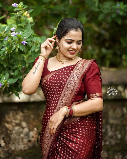 Lovely Wine Soft Silk Saree With Outstanding Blouse Piece