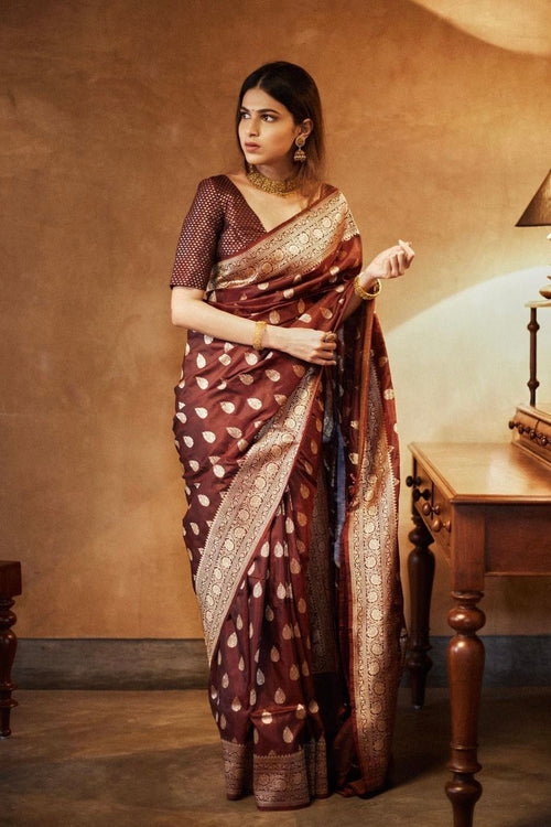 Coffee Brown Colour Silk Saree for Wedding Party