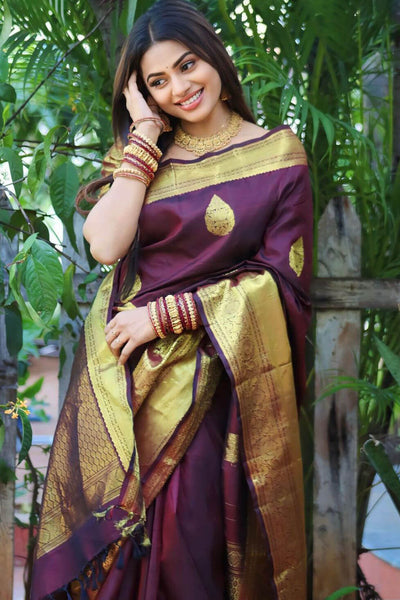 Amiable Wine Soft Silk Saree With Transcendent Blouse Piece