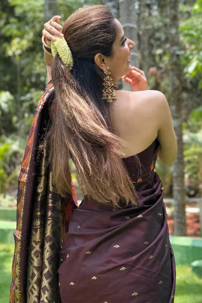 Vibrant Brown Soft Silk Saree With Excellent Blouse Piece