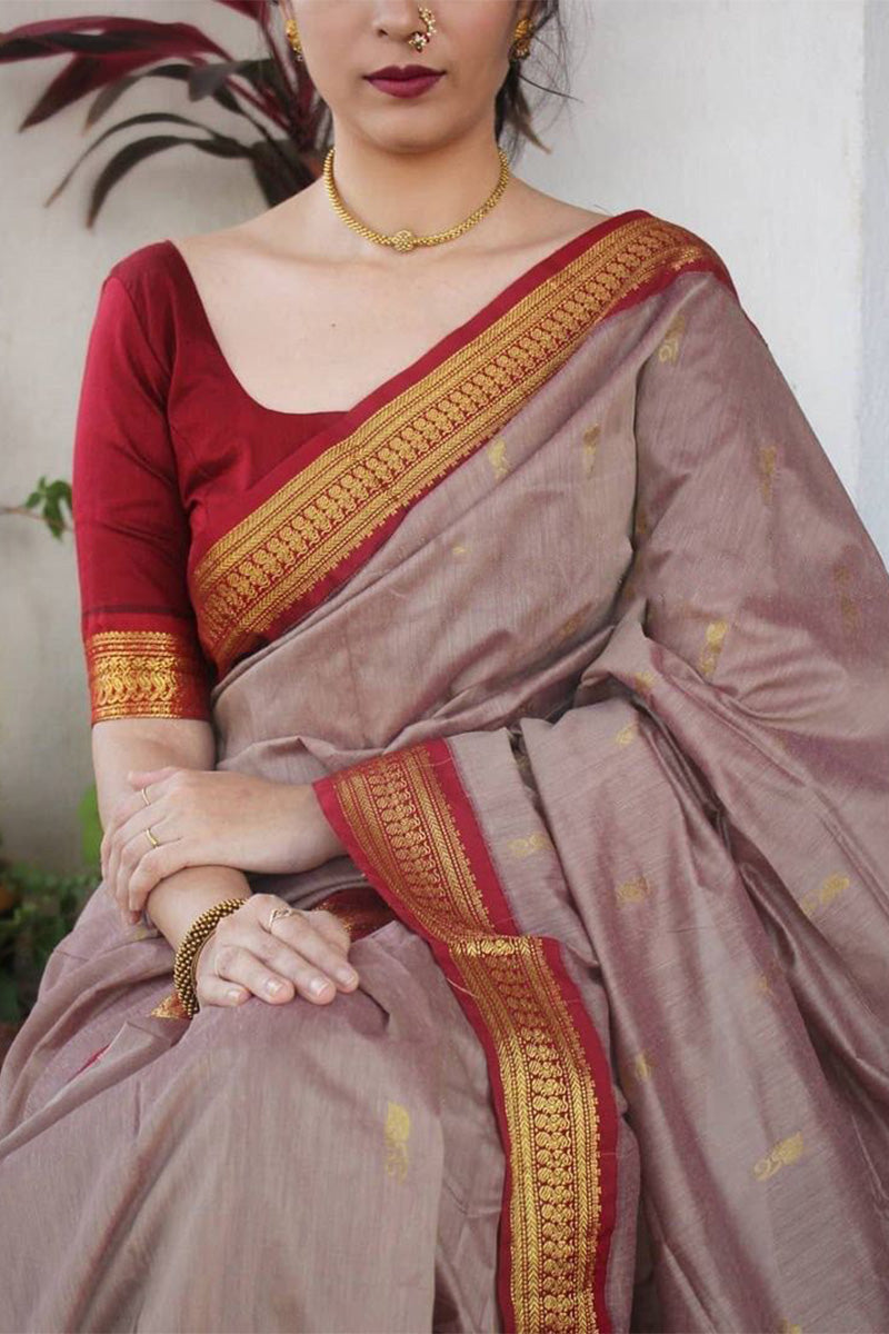 Evanescent Grey Soft Silk Saree With Murmurous Blouse Piece