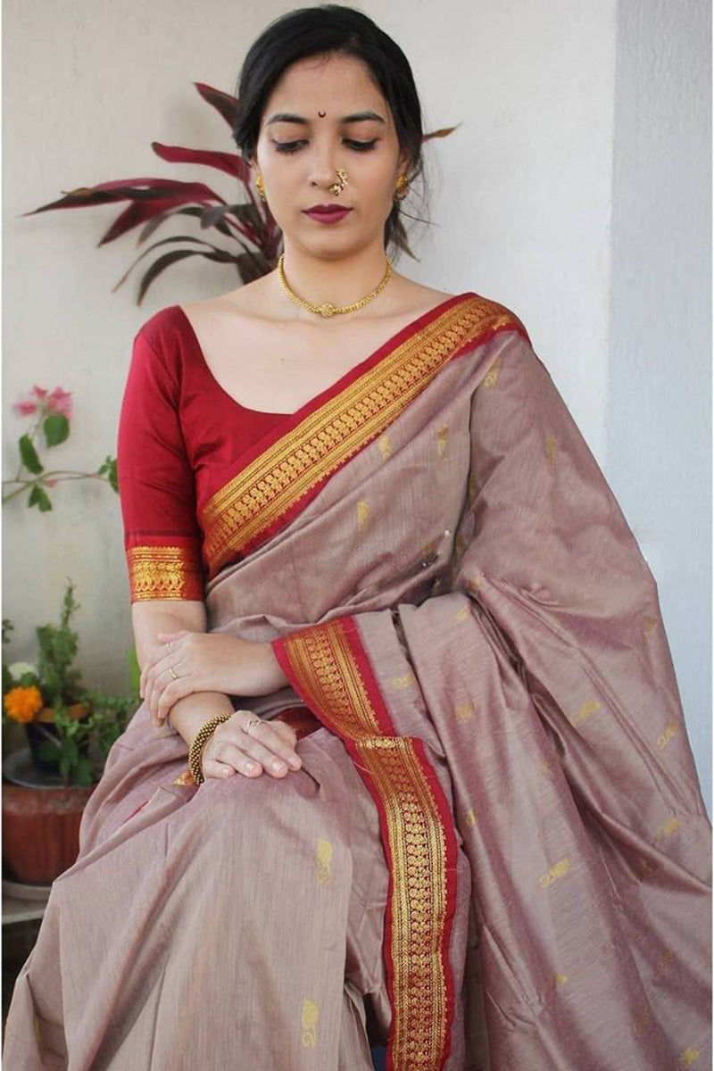 Evanescent Grey Soft Silk Saree With Murmurous Blouse Piece