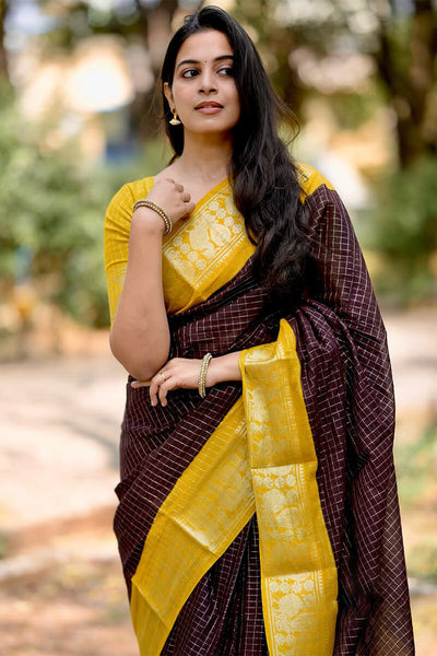 Amazing Brown Soft Silk Saree With Captivating Blouse Piece