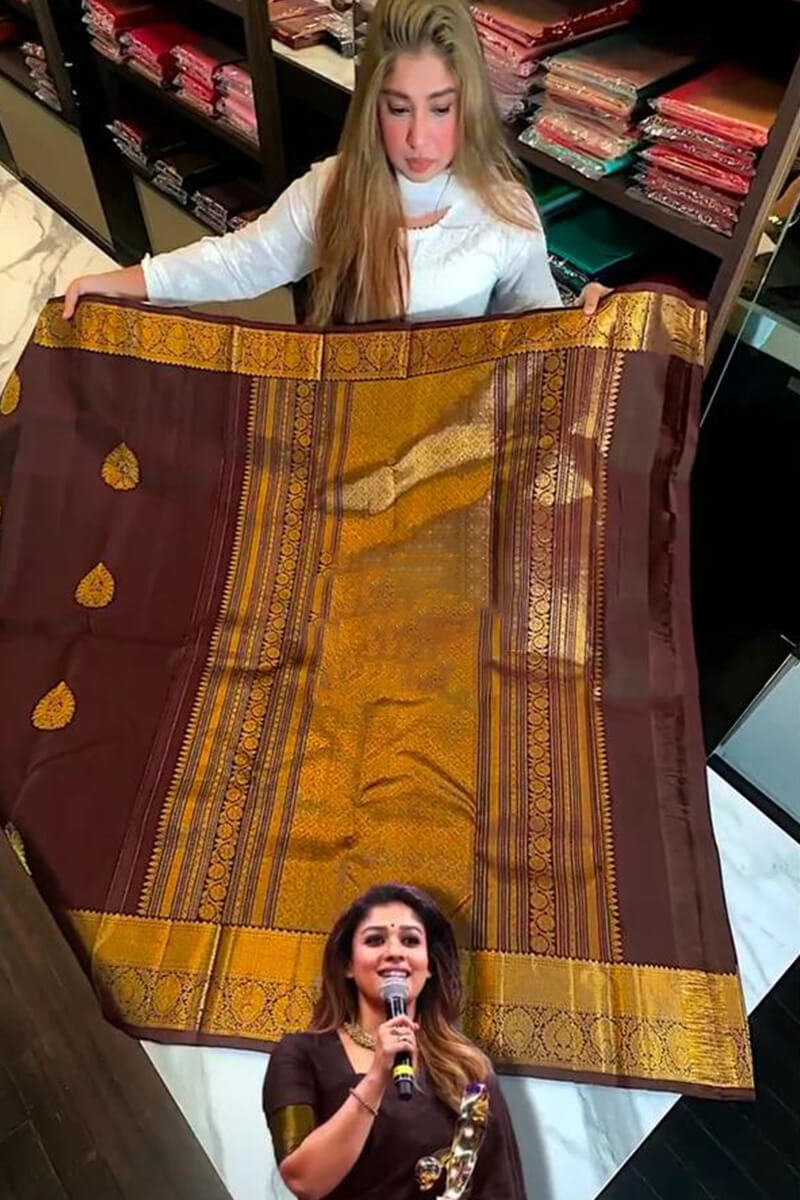 Tantalizing Brown Soft Banarasi Silk Saree With Prominent Blouse Piece