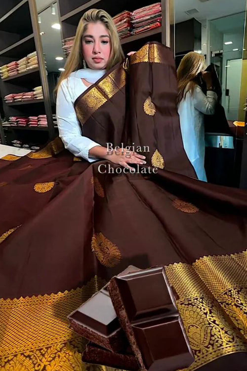 Load image into Gallery viewer, Tantalizing Brown Soft Banarasi Silk Saree With Prominent Blouse Piece
