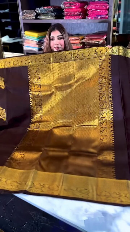 Woebegone Brown Soft Banarasi Silk Saree With Angelic Blouse Piece