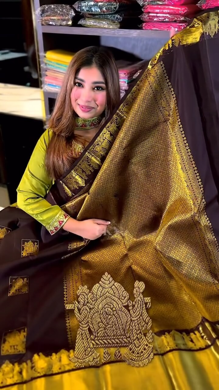 Artistic Brown Soft Banarasi Silk Saree With Snappy Blouse Piece