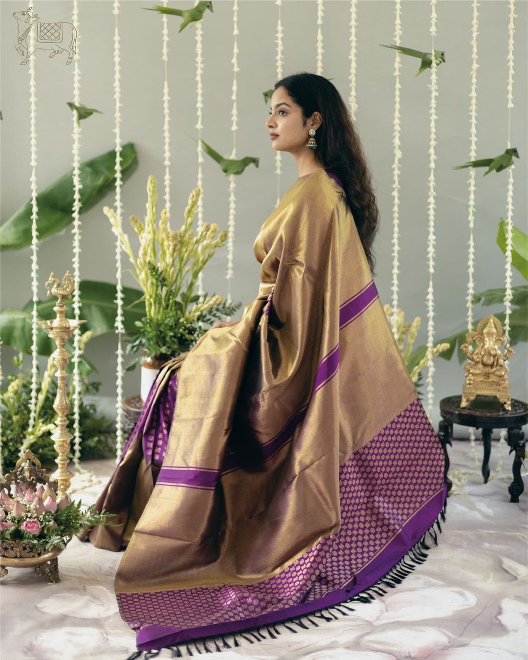 Fancifull Dark Beige Soft Silk Saree With Arresting Blouse Piece