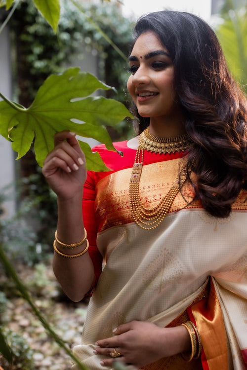 Sunayana' White-Grey Pure Soft Satin Silk Banarasi Handloom Saree - Tilfi