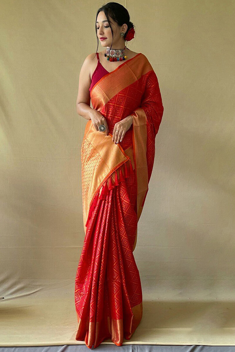 Magnetic Red Patola Silk Saree with Gratifying Blouse Piece