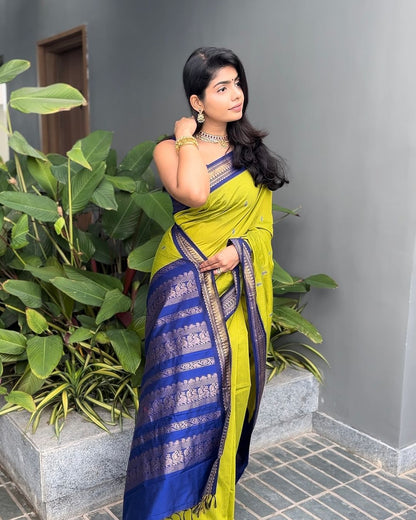 Classy Parrot Soft Silk Saree With Energetic Blouse Piece