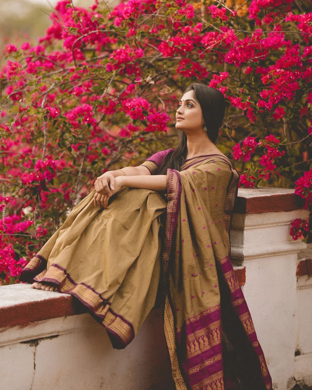 Gorgeous Dark Beige Soft Banarasi Silk Saree With Sensational Blouse Piece