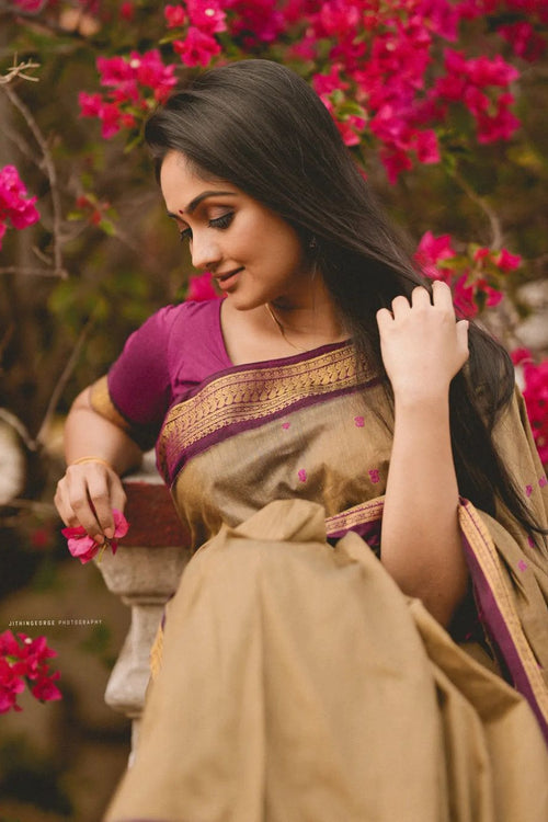 Load image into Gallery viewer, Gorgeous Dark Beige Soft Banarasi Silk Saree With Sensational Blouse Piece
