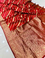 Ailurophile Red Banarasi Silk Saree With Prominent Blouse Piece