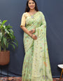 Woebegone Pista Soft Banarasi Silk Saree With Magnetic Blouse Piece