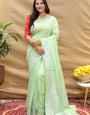 Lovely Pista Soft Banarasi Silk Saree With Wonderful Blouse Piece
