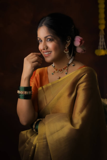 Ishita Dutta In Soft Banarasi Tissue Silk Saree