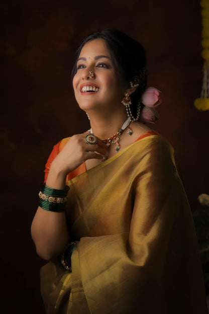 Ishita Dutta In Soft Banarasi Tissue Silk Saree