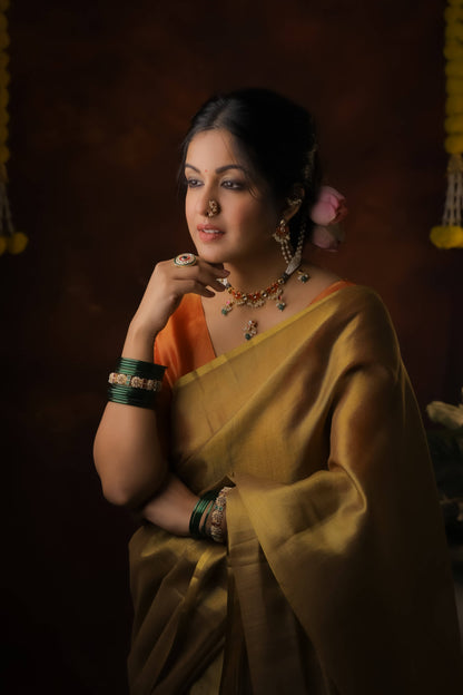 Ishita Dutta In Soft Banarasi Tissue Silk Saree