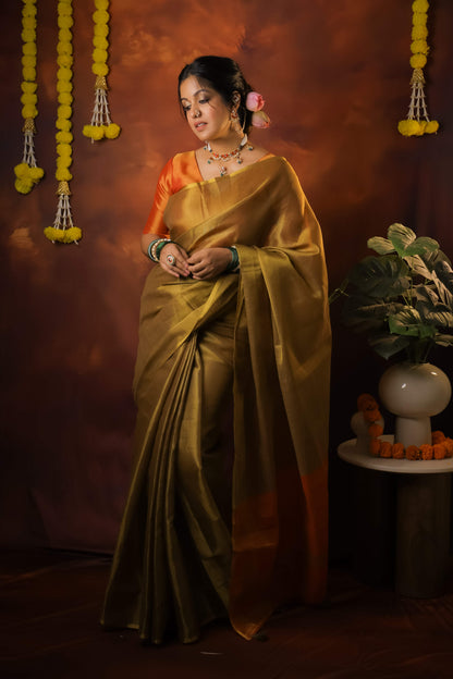 Ishita Dutta In Soft Banarasi Tissue Silk Saree