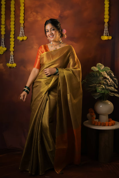 Ishita Dutta In Soft Banarasi Tissue Silk Saree