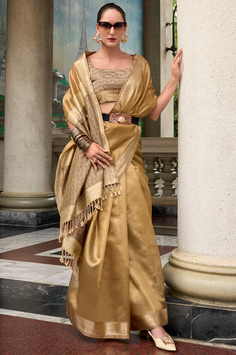 Fragrant Dark Beige Soft Tissue Silk Saree With Charming Blouse Piece