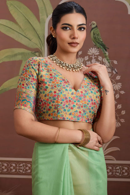 Alluring Pista Pashmina saree With Nebula Blouse Piece
