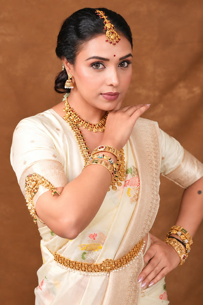Megha Bhunia in Beige Banarasi Khadi Silk Saree