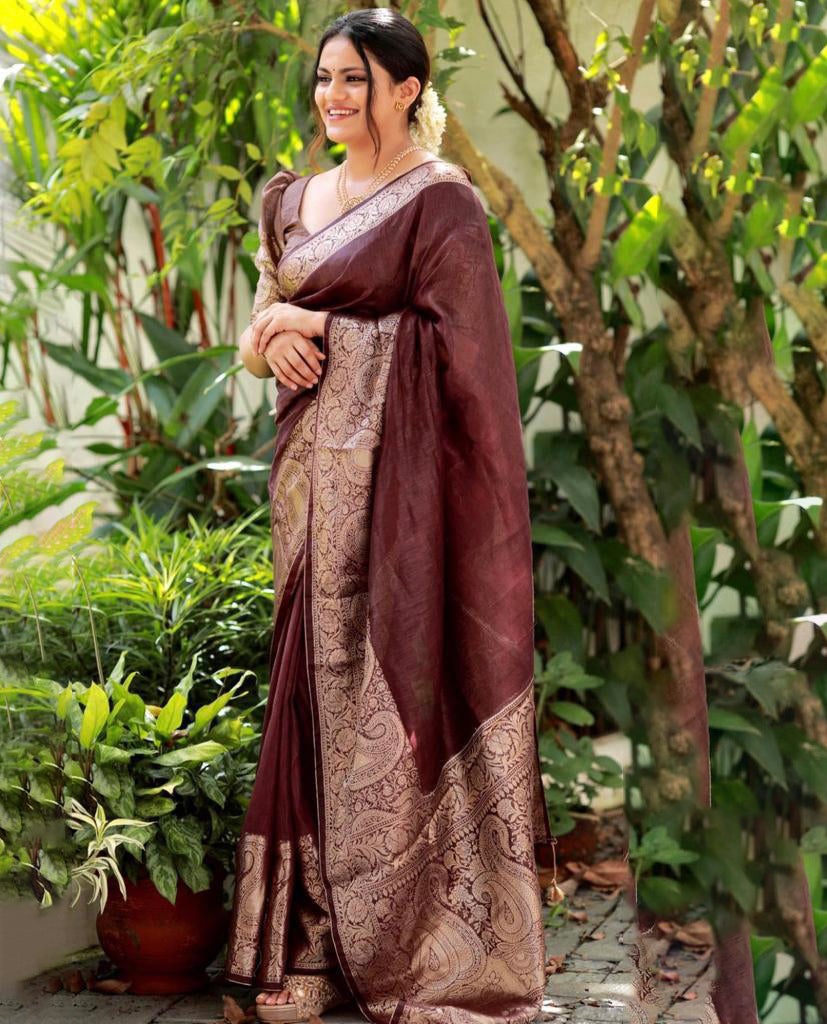 Adorning Brown Soft Silk Saree With Fancifull Blouse Piece