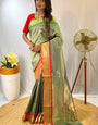 Woebegone Pista Soft Banarasi Silk Saree With Profuse Blouse Piece