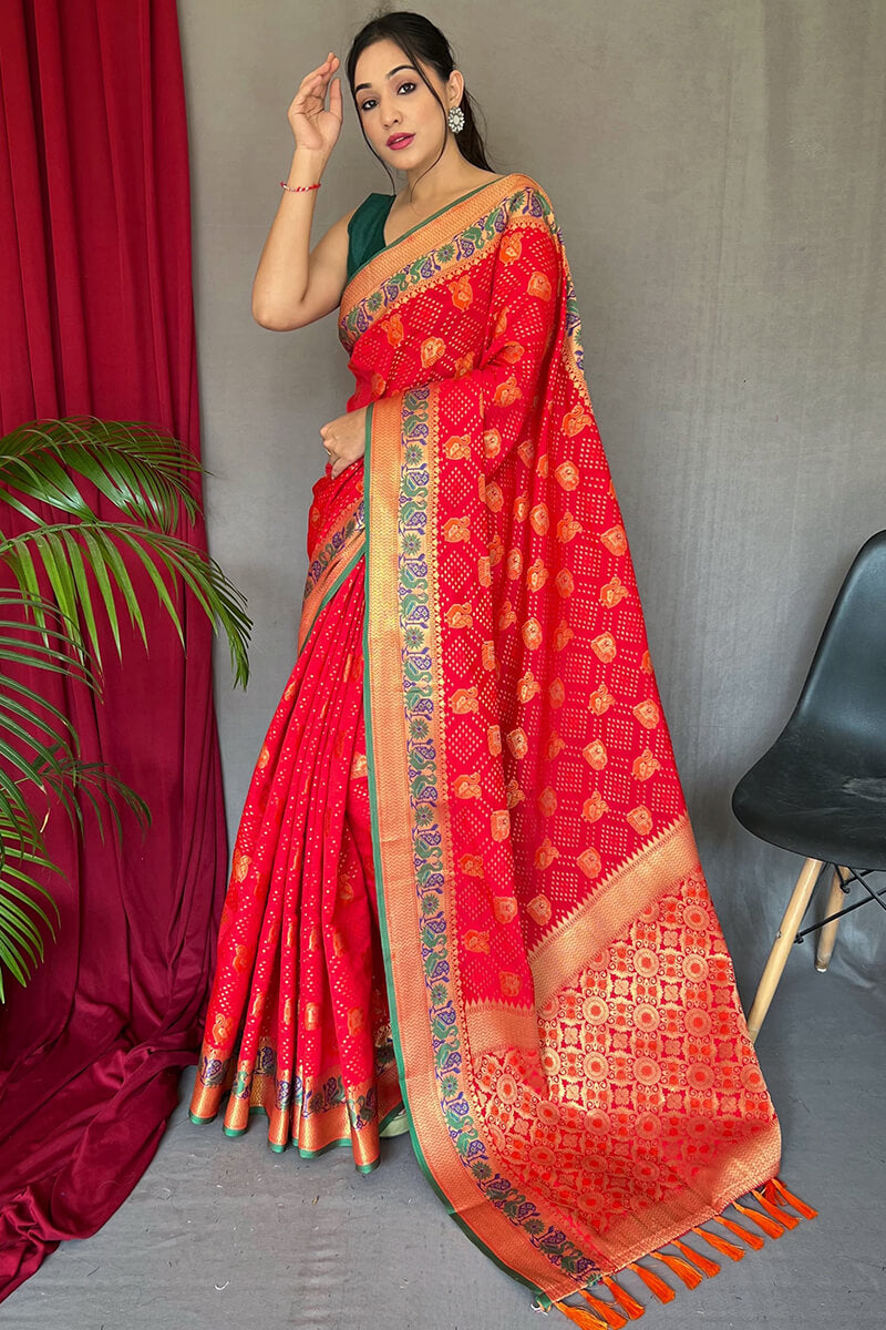 Serendipity Red Patola Silk Saree with Engaging Blouse Piece