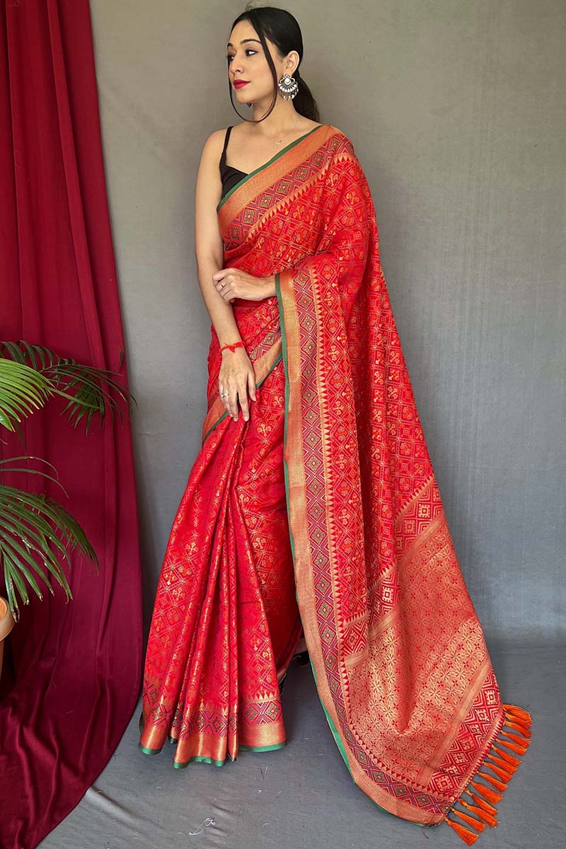 Gratifying Red Patola Silk Saree with Serendipity Blouse Piece