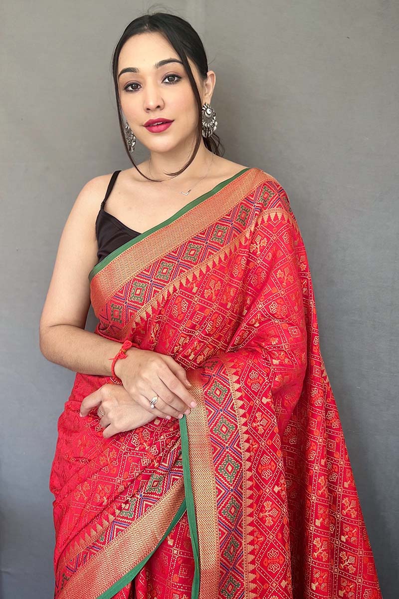 Gratifying Red Patola Silk Saree with Serendipity Blouse Piece