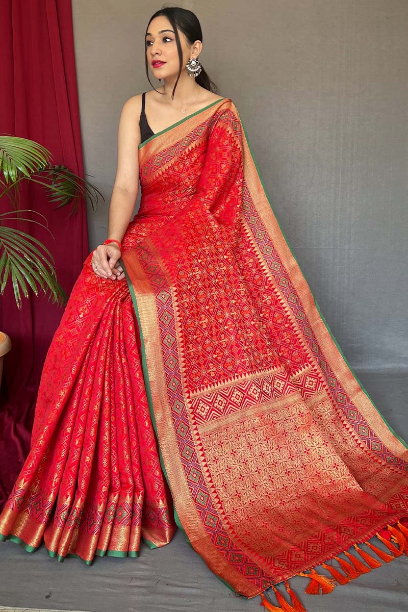 Gratifying Red Patola Silk Saree with Serendipity Blouse Piece