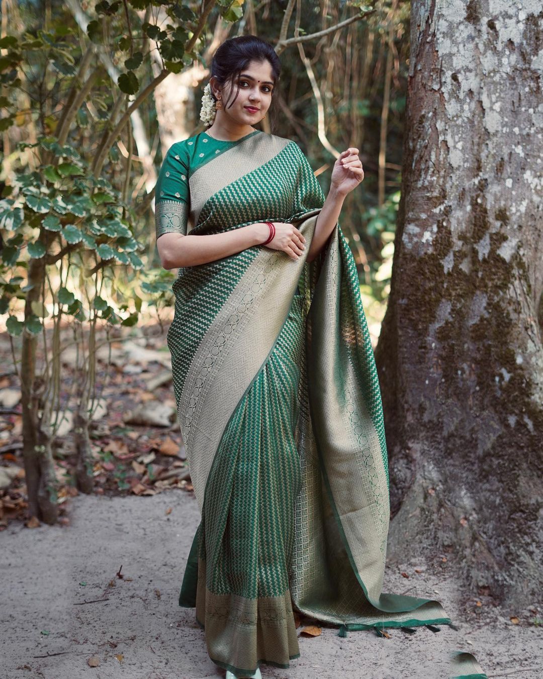 Buy Women's Pure Kalyani Cotton Silk Light Green Saree with Zari Border and Blouse  Piece at Amazon.in