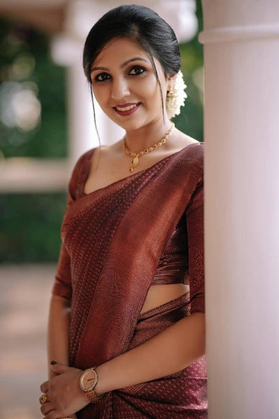 Hypnotic Wine Soft Silk Saree With Intricate Blouse Piece